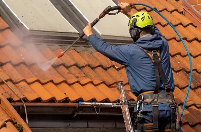 Démoussage et hydrofuge de toiture à Medeyrolles
